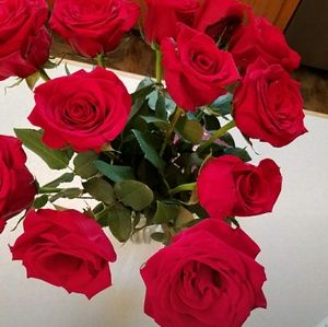 Meet your Posher, Virginia